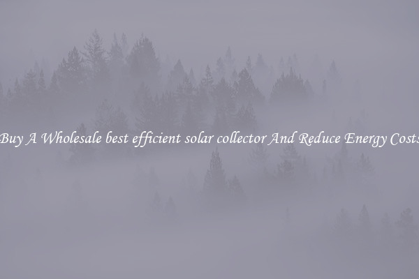 Buy A Wholesale best efficient solar collector And Reduce Energy Costs