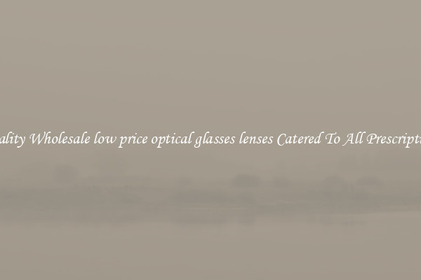 Quality Wholesale low price optical glasses lenses Catered To All Prescriptions