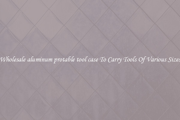 Wholesale aluminum protable tool case To Carry Tools Of Various Sizes