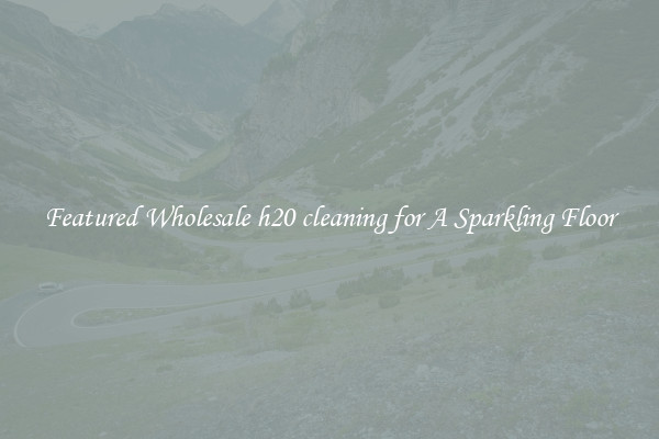 Featured Wholesale h20 cleaning for A Sparkling Floor