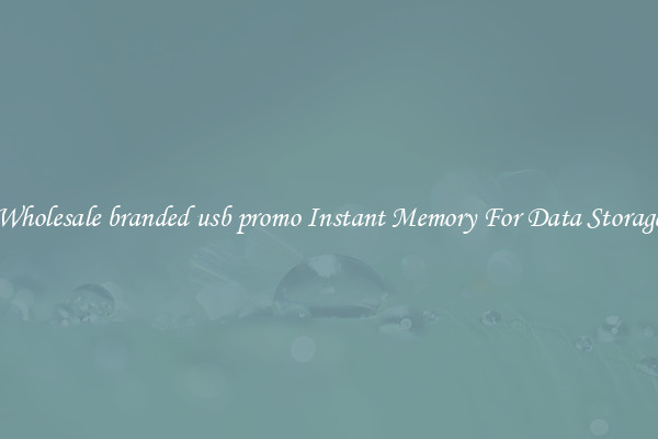 Wholesale branded usb promo Instant Memory For Data Storage