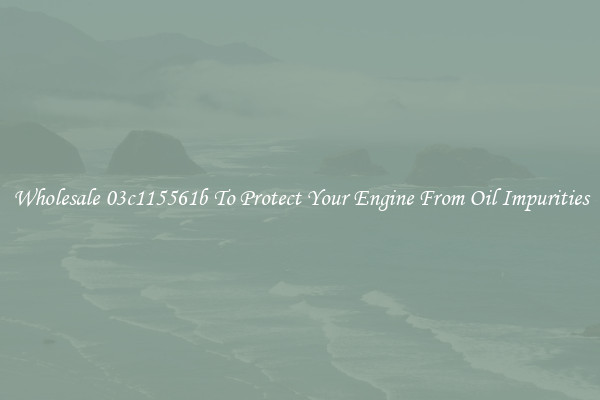 Wholesale 03c115561b To Protect Your Engine From Oil Impurities