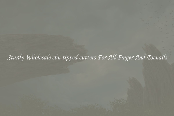 Sturdy Wholesale cbn tipped cutters For All Finger And Toenails