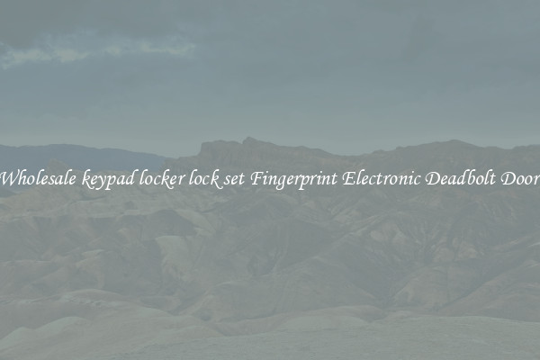Wholesale keypad locker lock set Fingerprint Electronic Deadbolt Door 