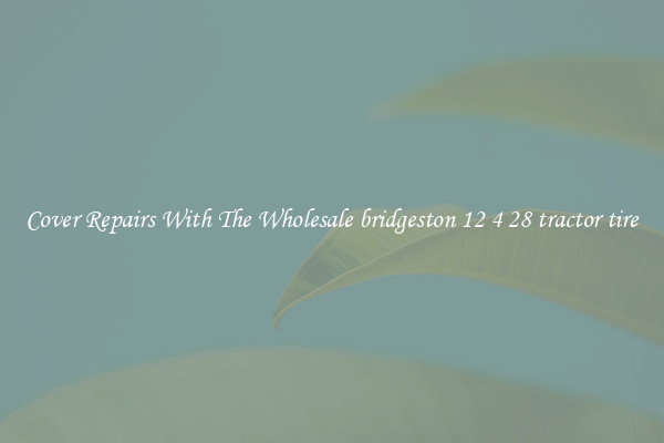  Cover Repairs With The Wholesale bridgeston 12 4 28 tractor tire 