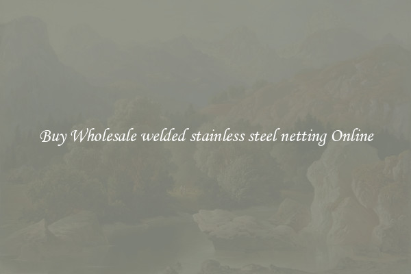 Buy Wholesale welded stainless steel netting Online