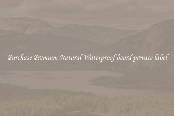 Purchase Premium Natural Waterproof beard private label