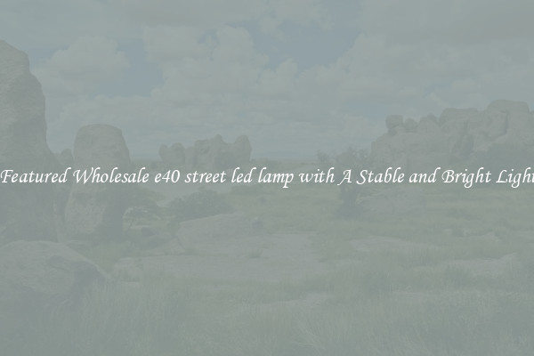 Featured Wholesale e40 street led lamp with A Stable and Bright Light