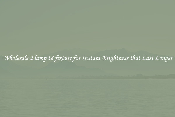 Wholesale 2 lamp t8 fixture for Instant Brightness that Last Longer