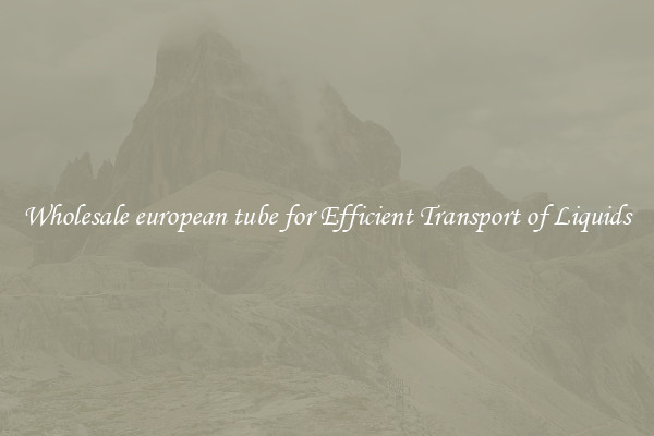 Wholesale european tube for Efficient Transport of Liquids