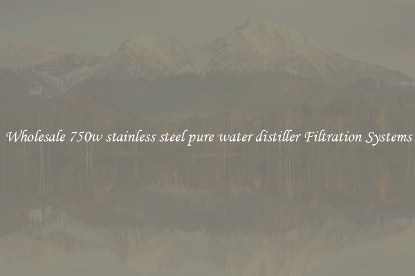 Wholesale 750w stainless steel pure water distiller Filtration Systems
