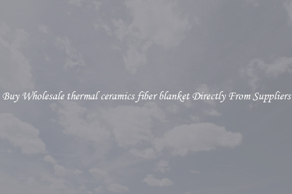 Buy Wholesale thermal ceramics fiber blanket Directly From Suppliers