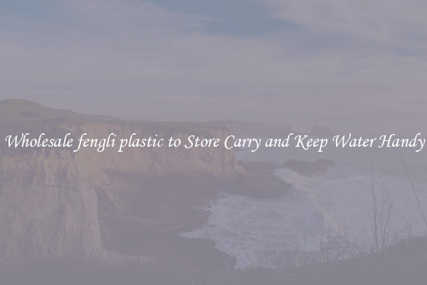 Wholesale fengli plastic to Store Carry and Keep Water Handy