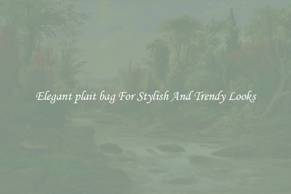 Elegant plait bag For Stylish And Trendy Looks