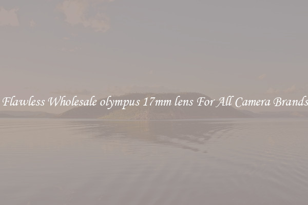 Flawless Wholesale olympus 17mm lens For All Camera Brands