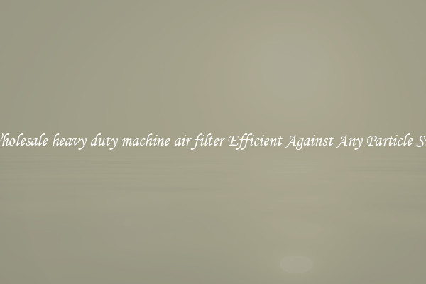Wholesale heavy duty machine air filter Efficient Against Any Particle Size