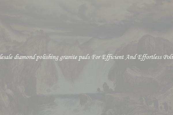 Wholesale diamond polishing granite pads For Efficient And Effortless Polishing