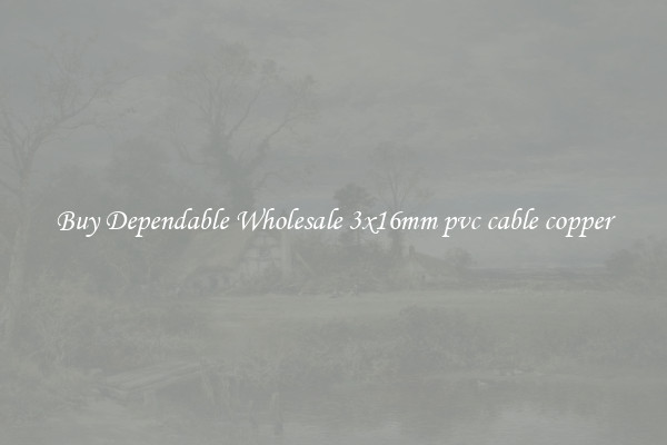 Buy Dependable Wholesale 3x16mm pvc cable copper