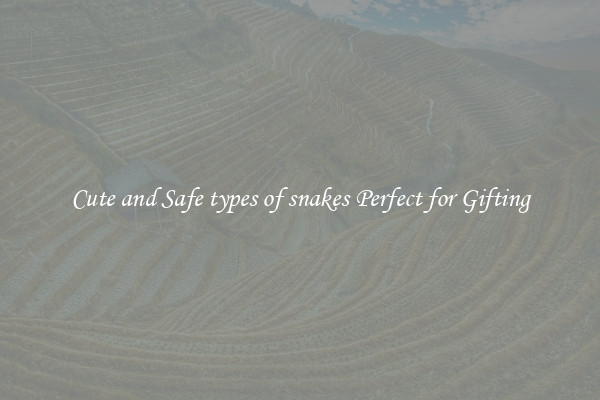 Cute and Safe types of snakes Perfect for Gifting