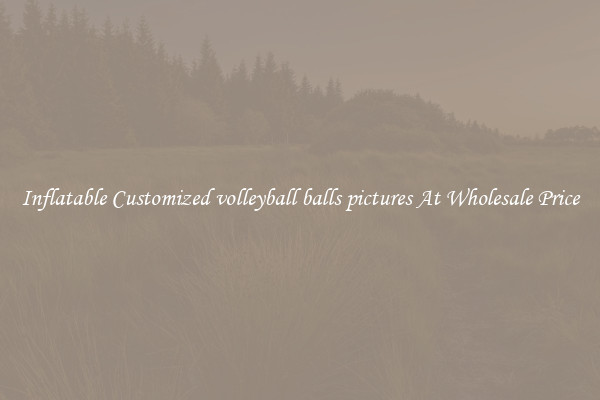 Inflatable Customized volleyball balls pictures At Wholesale Price